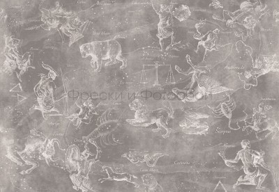 Фреска Affresco ID136492 Фреска Affresco Карты и графика ID136492