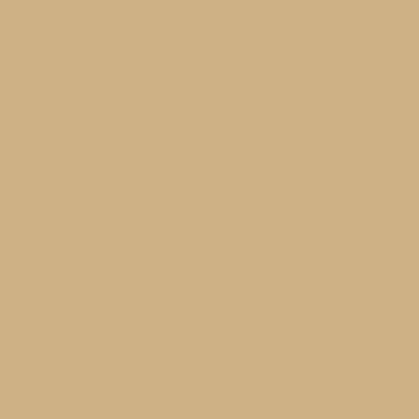 RAL 1001 Beige RAL 1001
