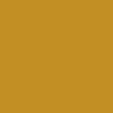 RAL 1005 Honey Yellow RAL 1005