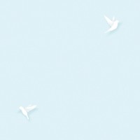 Обои Andrea Rossi Spectrum 54338-2