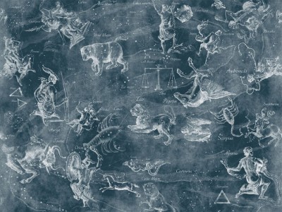 Фреска Affresco Uranographia color 3  Фреска Affresco Цветариум Uranographia color 3 