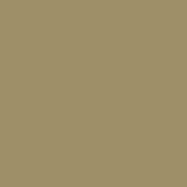 RAL 1020 Olive Yellow RAL 1020