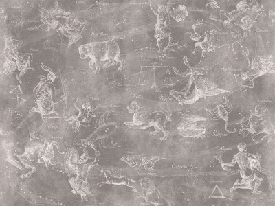 Фреска Affresco Uranographia color 4  Фреска Affresco Цветариум Uranographia color 4 