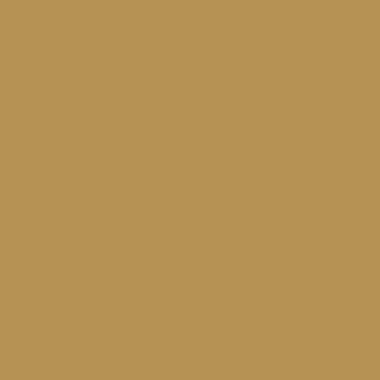 RAL 1024 Ochre Yellow RAL 1024