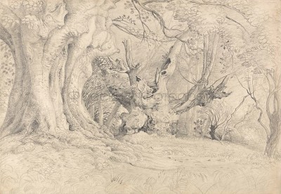 Фреска Affresco ID136455 Фреска Affresco Карты и графика ID136455 